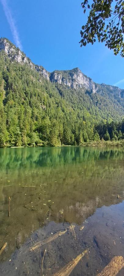 Laerche 2 - Chiemgaukarte Inklusive- Apartman Inzell Kültér fotó