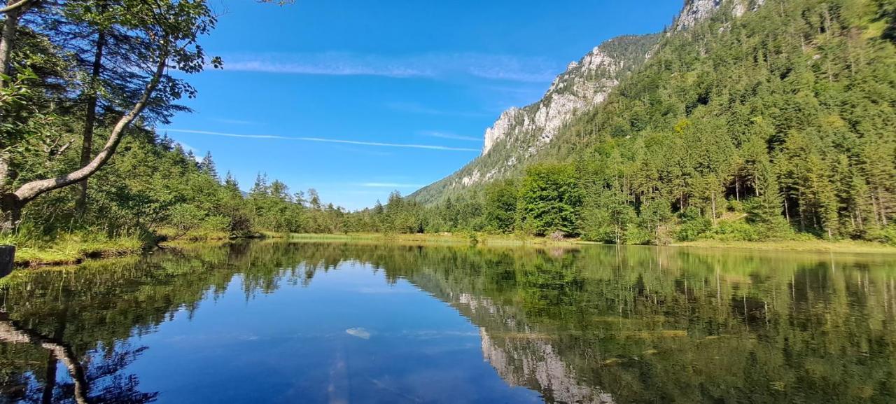 Laerche 2 - Chiemgaukarte Inklusive- Apartman Inzell Kültér fotó